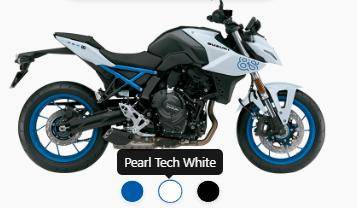 SUZUKI GSX-8S 